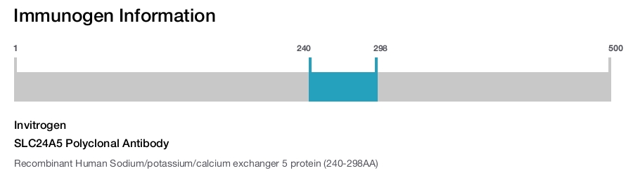 SLC24A5 Polyclonal Antibody