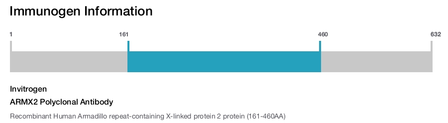 ARMX2 Polyclonal Antibody