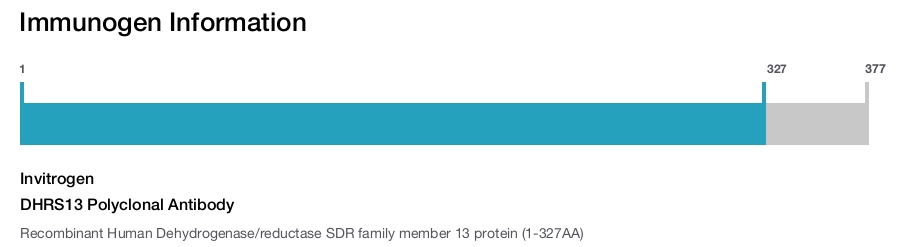 DHRS13 Polyclonal Antibody