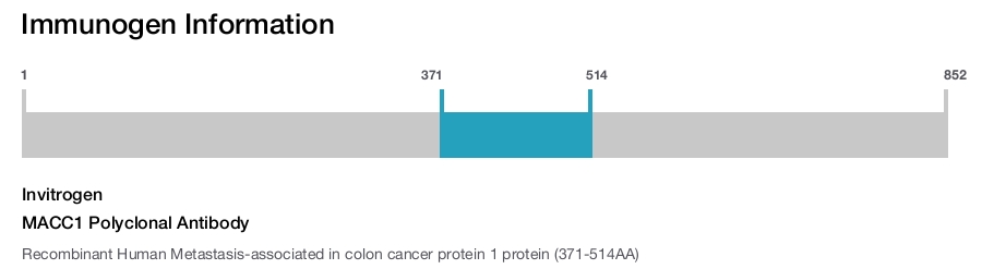 MACC1 Polyclonal Antibody
