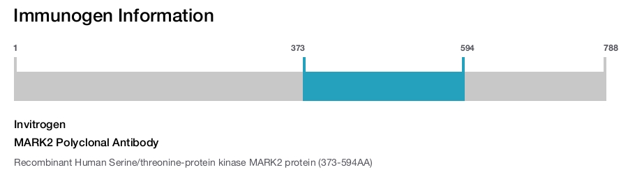 MARK2 Polyclonal Antibody