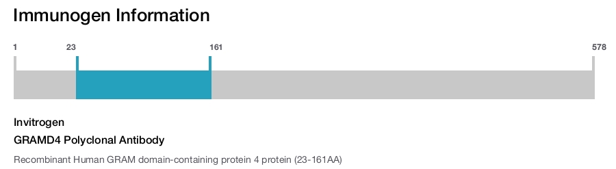 GRAMD4 Polyclonal Antibody