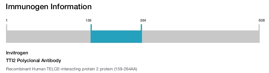 TTI2 Polyclonal Antibody
