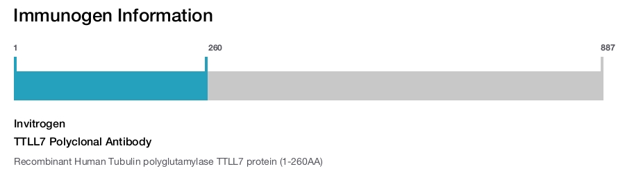 TTLL7 Polyclonal Antibody