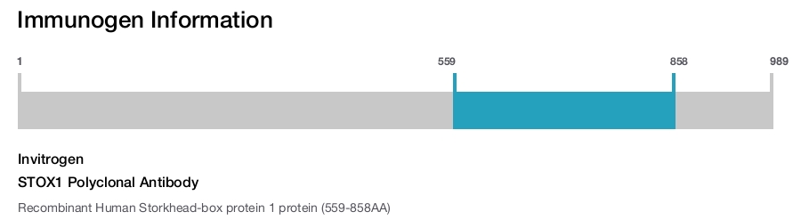 STOX1 Polyclonal Antibody