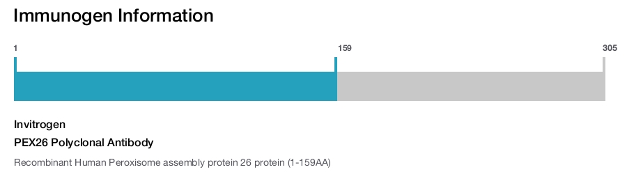PEX26 Polyclonal Antibody