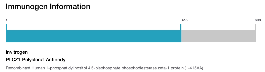 PLCZ1 Polyclonal Antibody