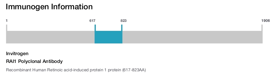 RAI1 Polyclonal Antibody