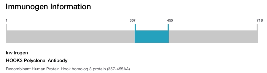 HOOK3 Polyclonal Antibody