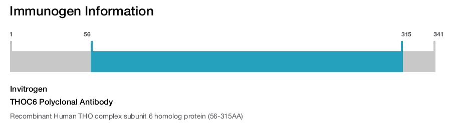 THOC6 Polyclonal Antibody