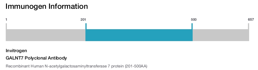 GALNT7 Polyclonal Antibody