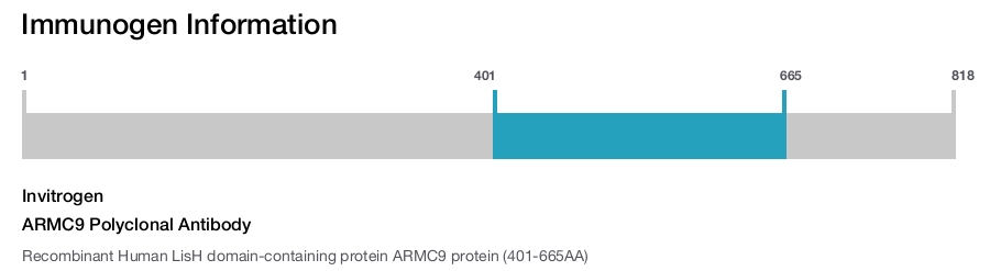 ARMC9 Polyclonal Antibody