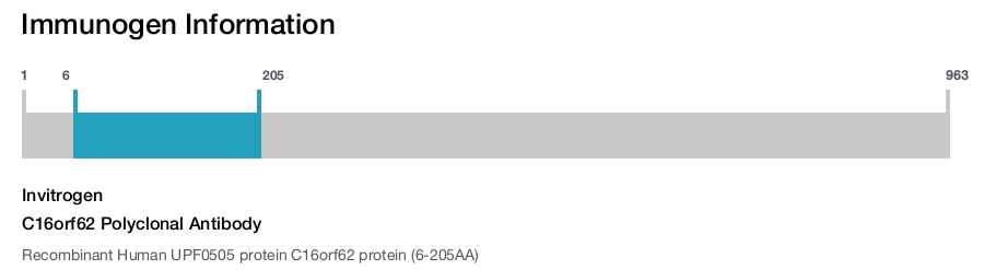C16orf62 Polyclonal Antibody
