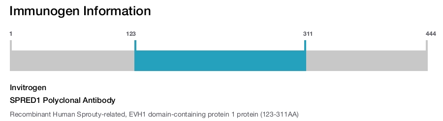 SPRED1 Polyclonal Antibody