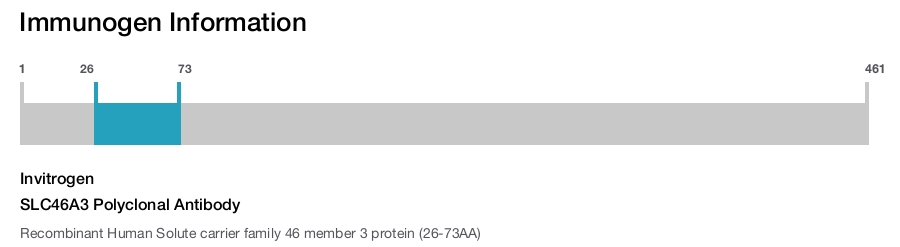 SLC46A3 Polyclonal Antibody