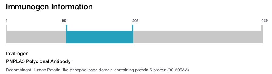 PNPLA5 Polyclonal Antibody