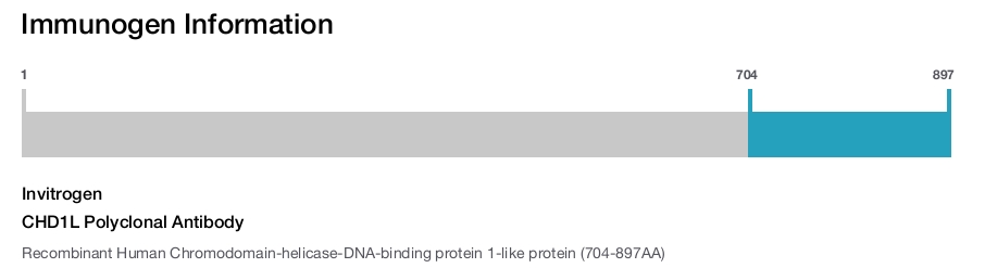 CHD1L Polyclonal Antibody
