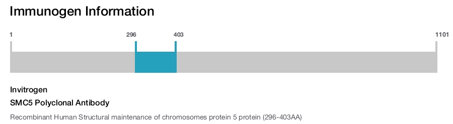 SMC5 Polyclonal Antibody