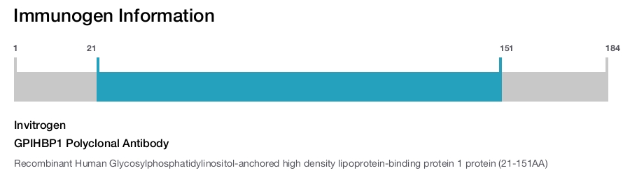 GPIHBP1 Polyclonal Antibody