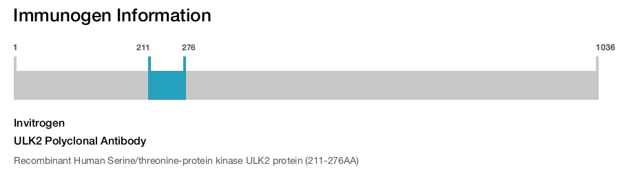 ULK2 Polyclonal Antibody