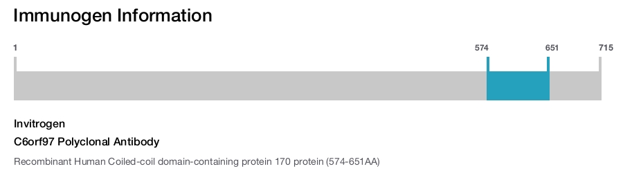 C6orf97 Polyclonal Antibody