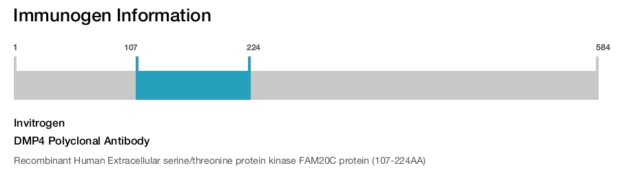 DMP4 Polyclonal Antibody