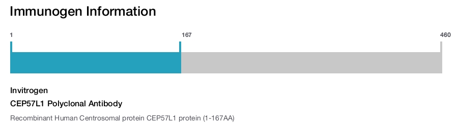 CEP57L1 Polyclonal Antibody