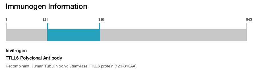 TTLL6 Polyclonal Antibody