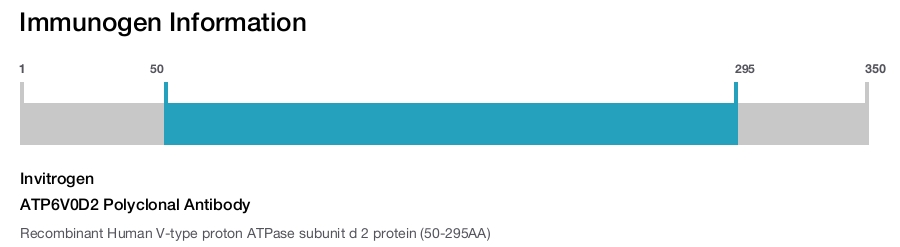 ATP6V0D2 Polyclonal Antibody