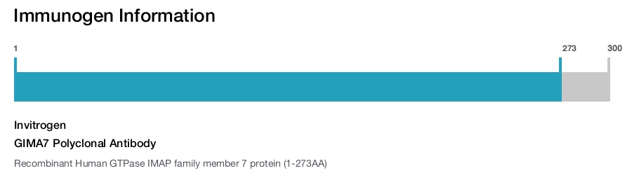 GIMA7 Polyclonal Antibody