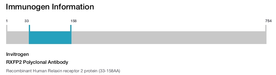 RXFP2 Polyclonal Antibody