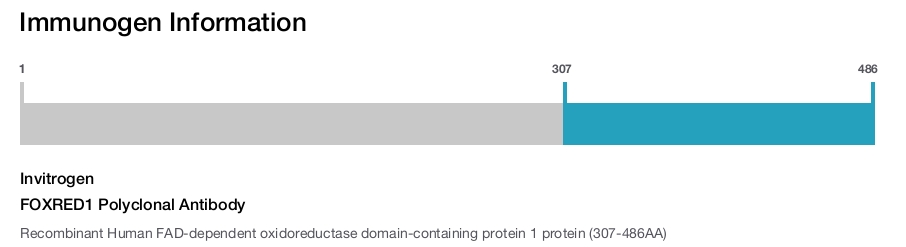 FOXRED1 Polyclonal Antibody