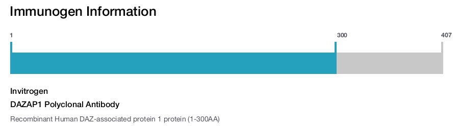 DAZAP1 Polyclonal Antibody