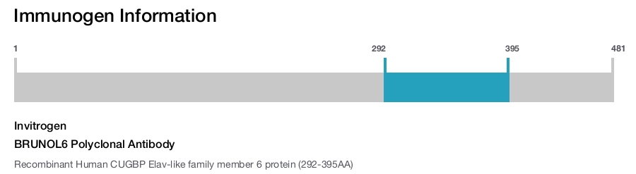 BRUNOL6 Polyclonal Antibody