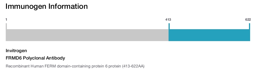FRMD6 Polyclonal Antibody