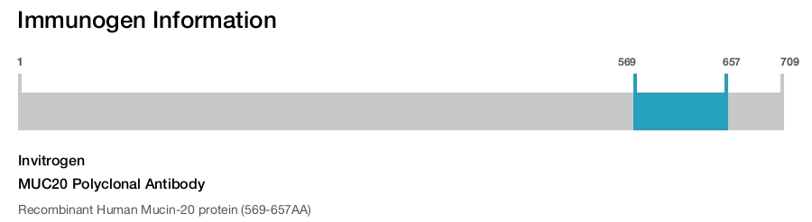 MUC20 Polyclonal Antibody