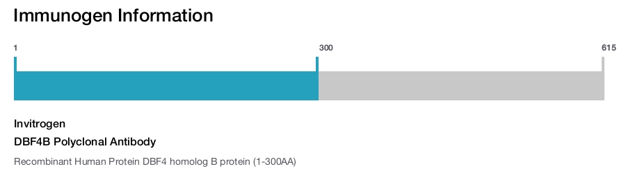 DBF4B Polyclonal Antibody