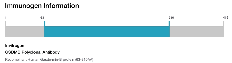 GSDMB Polyclonal Antibody