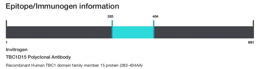 TBC1D15 Polyclonal Antibody