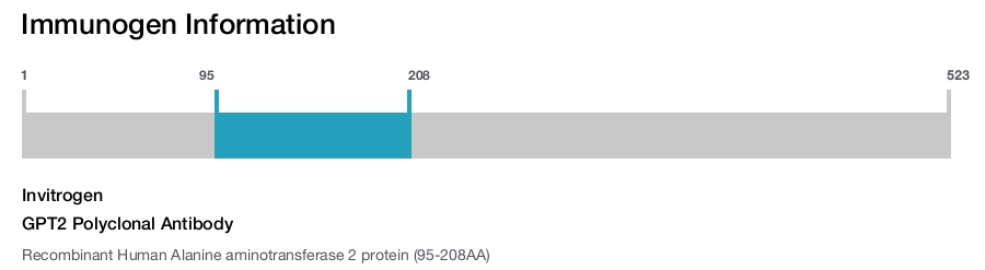GPT2 Polyclonal Antibody