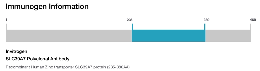 SLC39A7 Polyclonal Antibody