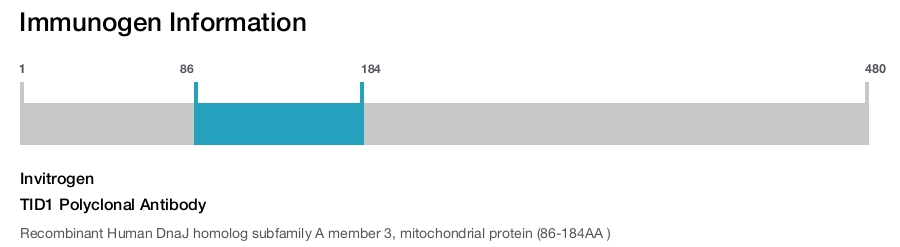 TID1 Polyclonal Antibody