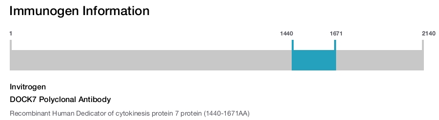 DOCK7 Polyclonal Antibody