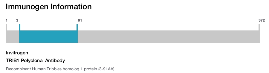 TRIB1 Polyclonal Antibody
