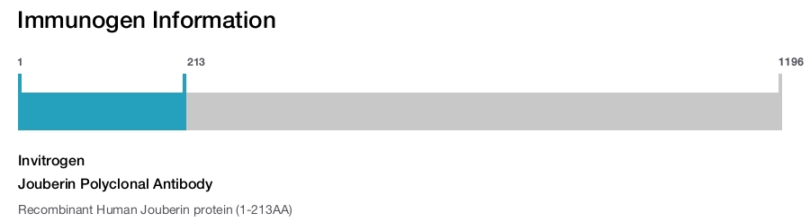 Jouberin Polyclonal Antibody