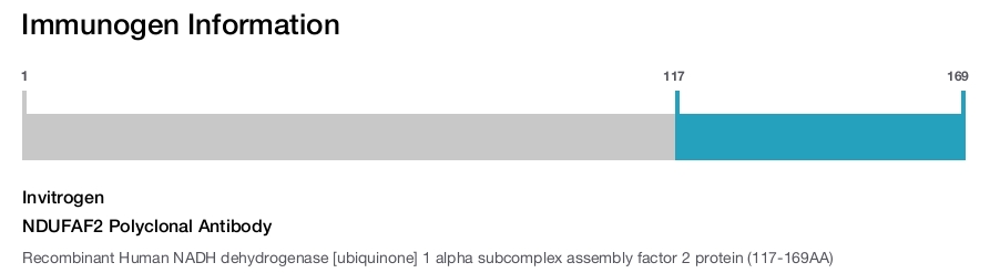 NDUFAF2 Polyclonal Antibody