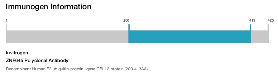 ZNF645 Polyclonal Antibody