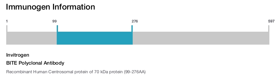 BITE Polyclonal Antibody