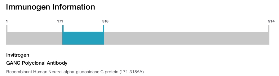 GANC Polyclonal Antibody