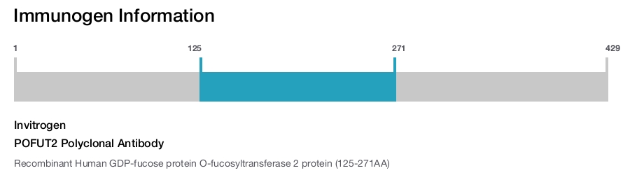 POFUT2 Polyclonal Antibody